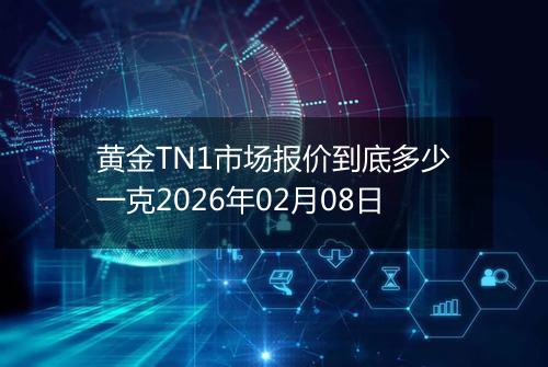 黄金TN1市场报价到底多少一克2026年02月08日