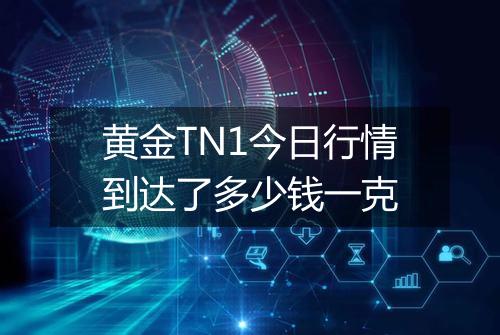 黄金TN1今日行情到达了多少钱一克