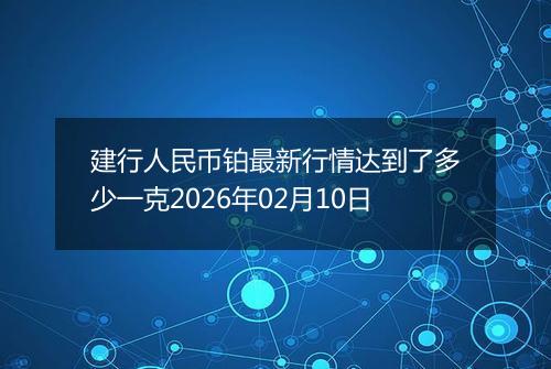 建行人民币铂最新行情达到了多少一克2026年02月10日
