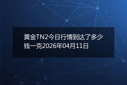 黄金TN2今日行情到达了多少钱一克2026年04月11日