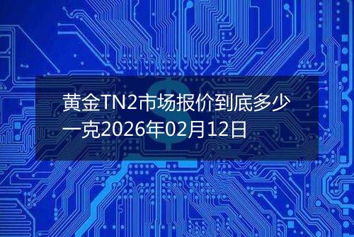 黄金TN2市场报价到底多少一克2026年02月12日