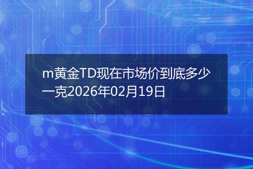 m黄金TD现在市场价到底多少一克2026年02月19日