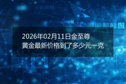 2026年02月11日金至尊黄金最新价格到了多少元一克