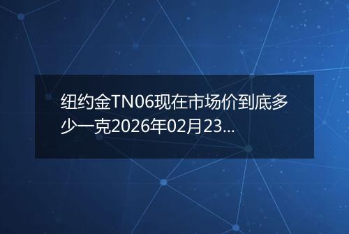 纽约金TN06现在市场价到底多少一克2026年02月23日