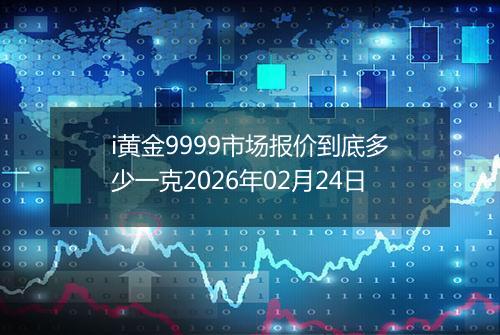 i黄金9999市场报价到底多少一克2026年02月24日