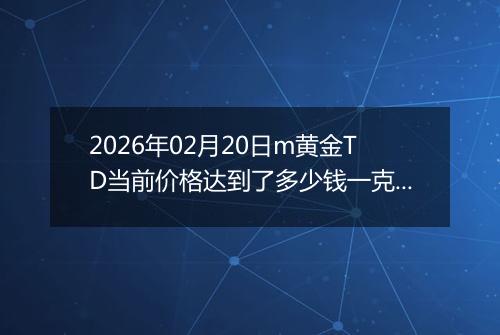 2026年02月20日m黄金TD当前价格达到了多少钱一克2026年02月20日
