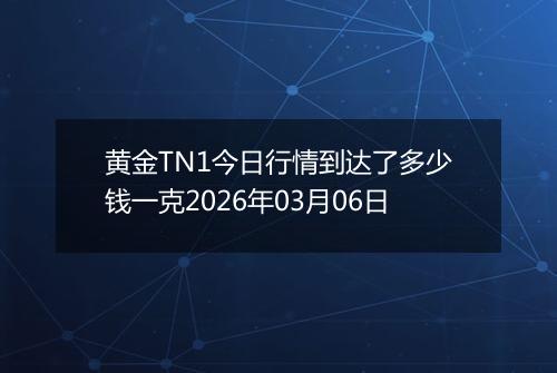 黄金TN1今日行情到达了多少钱一克2026年03月06日