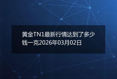 黄金TN1最新行情达到了多少钱一克2026年03月02日