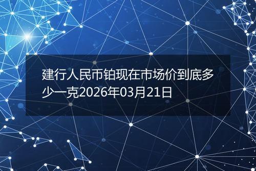 建行人民币铂现在市场价到底多少一克2026年03月21日
