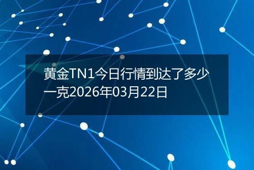 黄金TN1今日行情到达了多少一克2026年03月22日