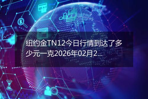 纽约金TN12今日行情到达了多少元一克2026年02月28日