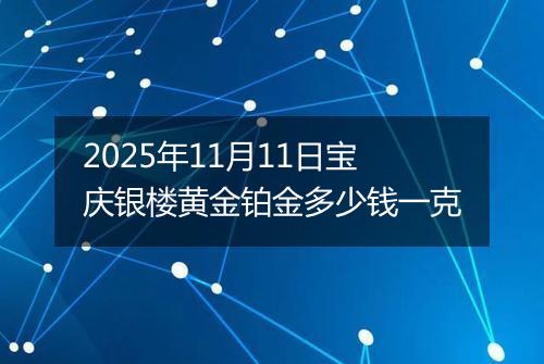 2025年11月11日宝庆银楼黄金铂金多少钱一克