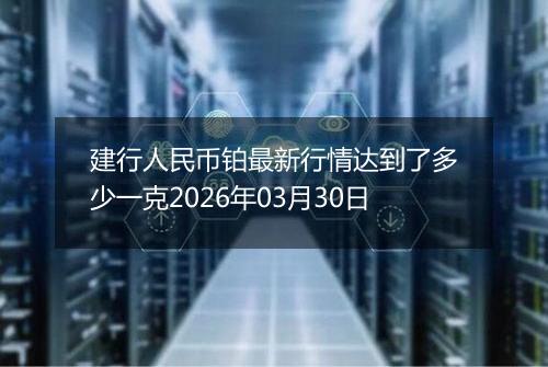 建行人民币铂最新行情达到了多少一克2026年03月30日