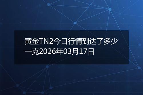 黄金TN2今日行情到达了多少一克2026年03月17日