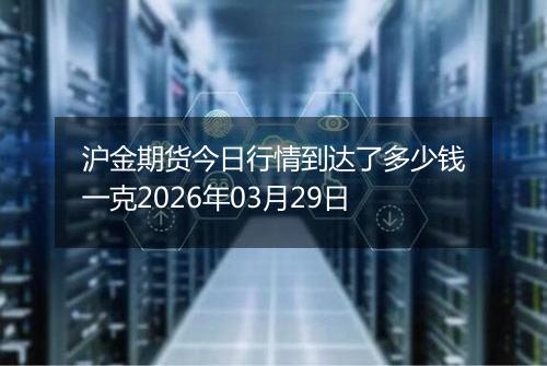 沪金期货今日行情到达了多少钱一克2026年03月29日