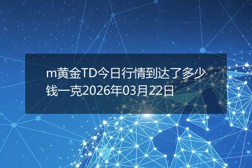 m黄金TD今日行情到达了多少钱一克2026年03月22日