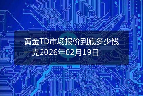 黄金TD市场报价到底多少钱一克2026年02月19日