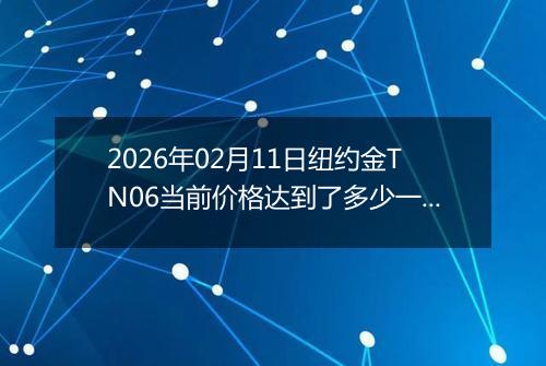 2026年02月11日纽约金TN06当前价格达到了多少一克2026年02月11日