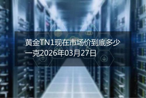 黄金TN1现在市场价到底多少一克2026年03月27日