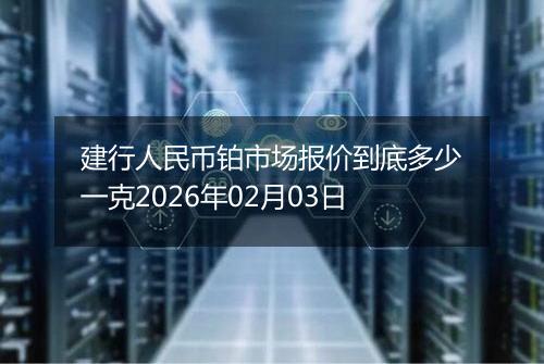 建行人民币铂市场报价到底多少一克2026年02月03日
