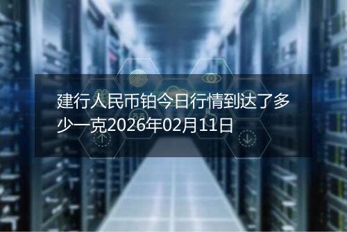 建行人民币铂今日行情到达了多少一克2026年02月11日