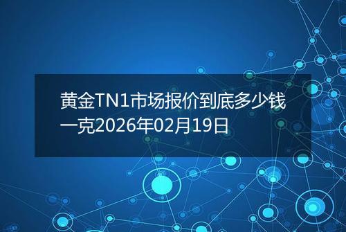 黄金TN1市场报价到底多少钱一克2026年02月19日