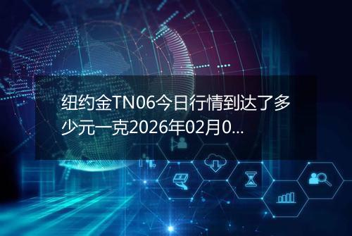 纽约金TN06今日行情到达了多少元一克2026年02月07日