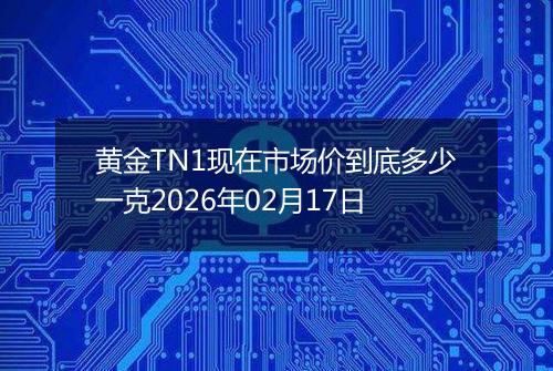 黄金TN1现在市场价到底多少一克2026年02月17日