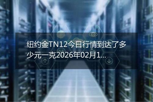纽约金TN12今日行情到达了多少元一克2026年02月18日