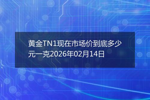 黄金TN1现在市场价到底多少元一克2026年02月14日