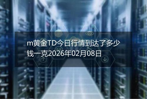 m黄金TD今日行情到达了多少钱一克2026年02月08日