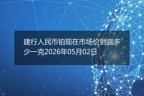建行人民币铂现在市场价到底多少一克2026年05月02日