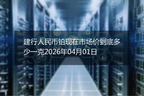 建行人民币铂现在市场价到底多少一克2026年04月01日
