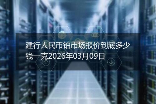 建行人民币铂市场报价到底多少钱一克2026年03月09日