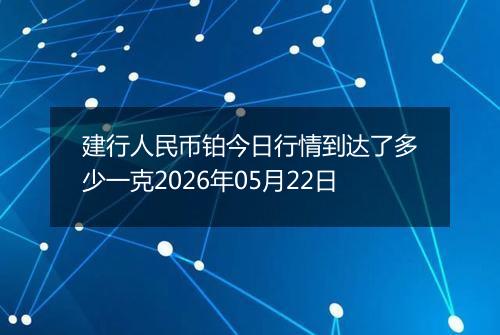 建行人民币铂今日行情到达了多少一克2026年05月22日