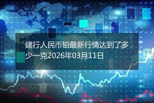 建行人民币铂最新行情达到了多少一克2026年03月11日