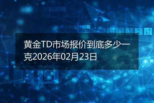 黄金TD市场报价到底多少一克2026年02月23日
