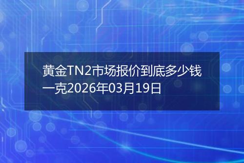 黄金TN2市场报价到底多少钱一克2026年03月19日