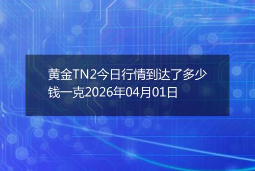 黄金TN2今日行情到达了多少钱一克2026年04月01日