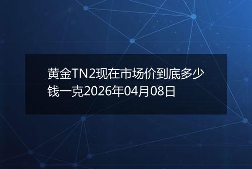 黄金TN2现在市场价到底多少钱一克2026年04月08日