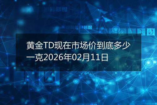 黄金TD现在市场价到底多少一克2026年02月11日