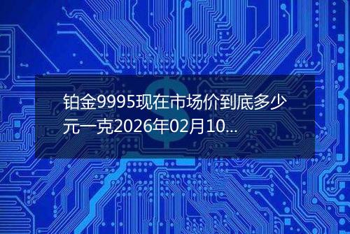 铂金9995现在市场价到底多少元一克2026年02月10日