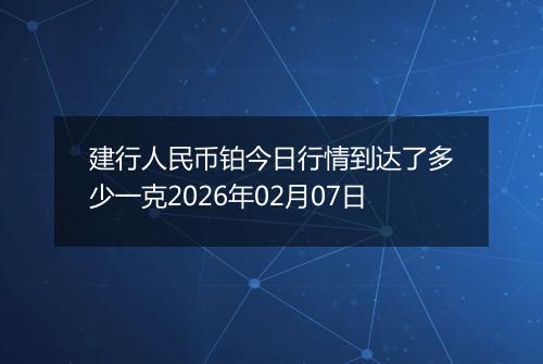 建行人民币铂今日行情到达了多少一克2026年02月07日
