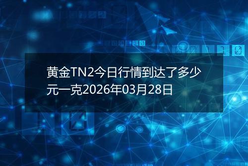黄金TN2今日行情到达了多少元一克2026年03月28日