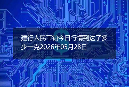 建行人民币铂今日行情到达了多少一克2026年05月28日