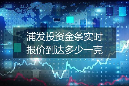 浦发投资金条实时报价到达多少一克