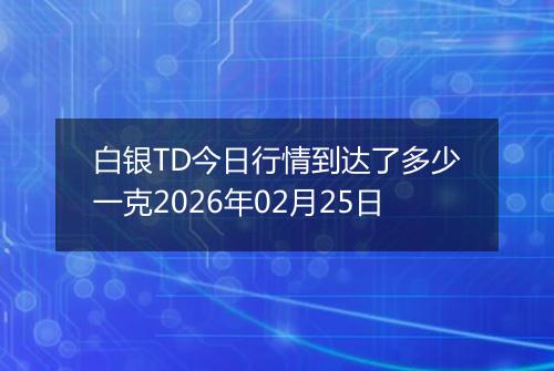 白银TD今日行情到达了多少一克2026年02月25日