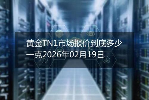 黄金TN1市场报价到底多少一克2026年02月19日