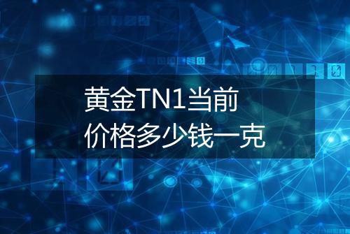 黄金TN1当前价格多少钱一克