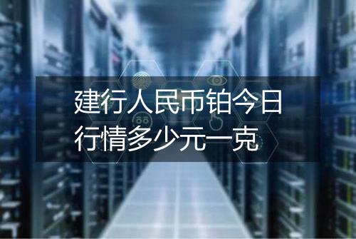 建行人民币铂今日行情多少元一克